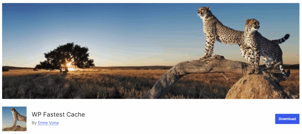 - B2B Website Platform Developer - Bright Vessel Cache mais rápido do WP