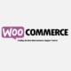 Best WooCommerce Support Partner