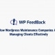 Wordpress Plugin WPFeedback